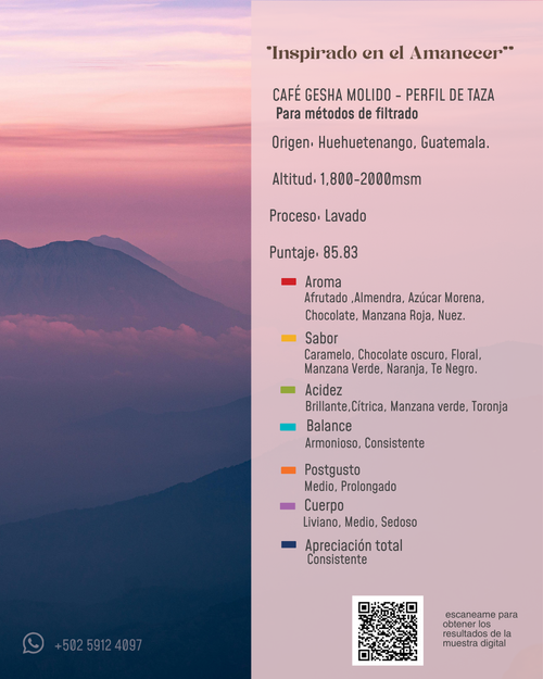Café de Especialidad Geisha, Molienda Media-Tueste Medio, Origen Huehuetenango, Guatemala, Peso 250gr- 0,25 kg.